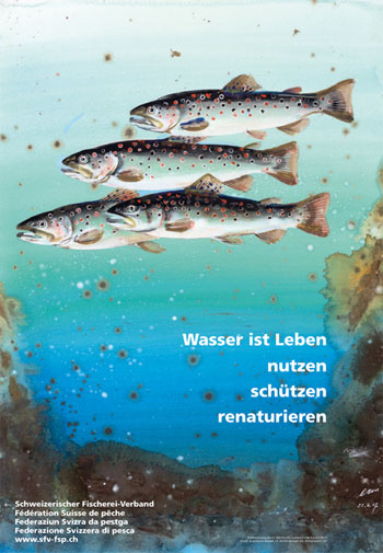 fisch1